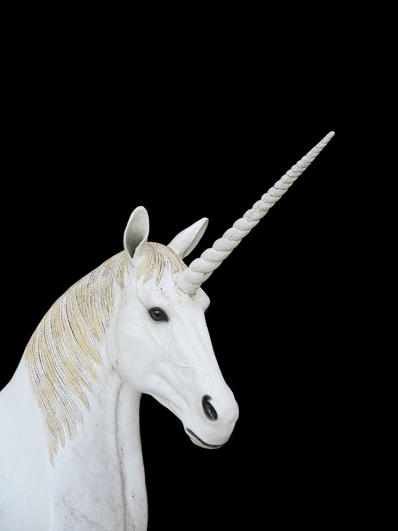 Unicorn in a mystical garden